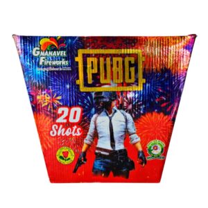 PUBG 20 Shot
